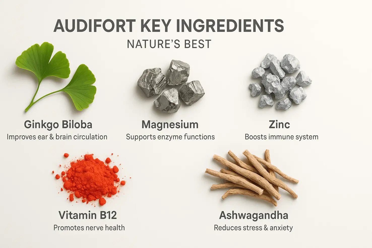 audifort-ingredients
